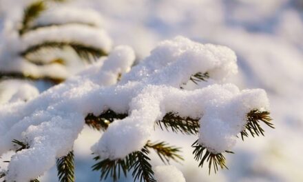 How bad weather can affect the running of a business?