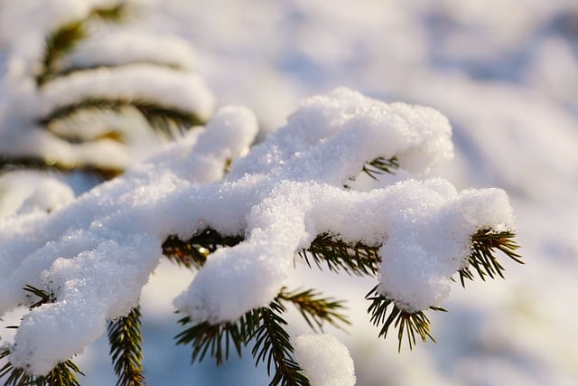 How bad weather can affect the running of a business?