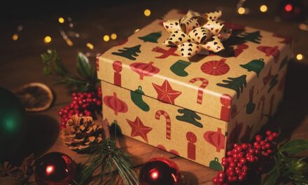The Best Breville Products for Christmas Gifts