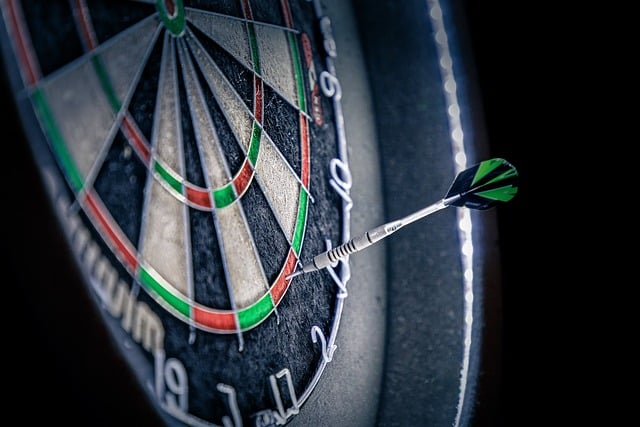 2024/25 Paddy Power World Darts Championship: Thrills, Drama, and Triumphs