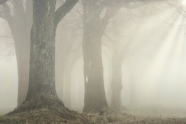 What fun things to do with kids on a foggy day?