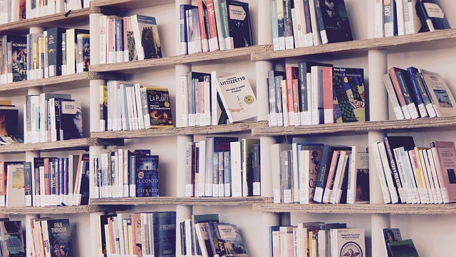 The Best-Selling Books of December 2024: A Celebration of Diverse Reads
