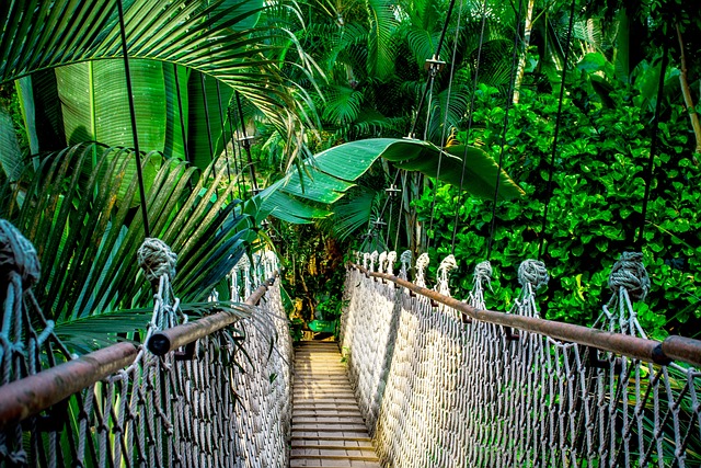 Humor, Triumph, and Reflection: I’m a Celebrity… Get Me Out of Here! Day 15 Recap