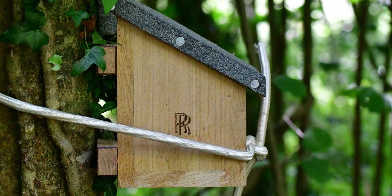 Creature comforts: Rolls-Royce Apprentices create bespoke dormouse houses for Goodwood Estate