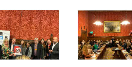 Unsung Heroes in 2024 at the All Party Parliamentary Dog Advisory Welfare Group –  Guest Speaker Yellow Dog UK’s Alison Gibson-Stark