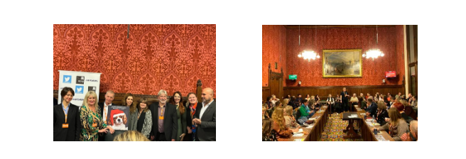 Unsung Heroes in 2024 at the All Party Parliamentary Dog Advisory Welfare Group –  Guest Speaker Yellow Dog UK’s Alison Gibson-Stark