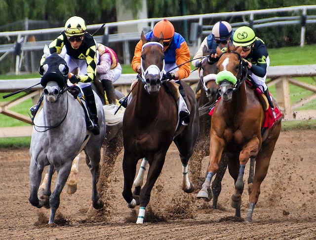 Horse Racing Highlights for Wednesday, January 1, 2025
