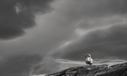 Storm Herminia Brings Widespread Disruption Across Europe
