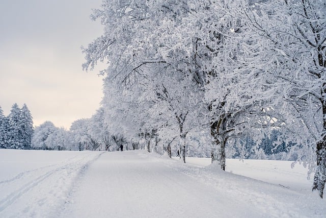 UK Weather Update: Snow, Ice, and Floods Disrupt Daily Life Across the Country