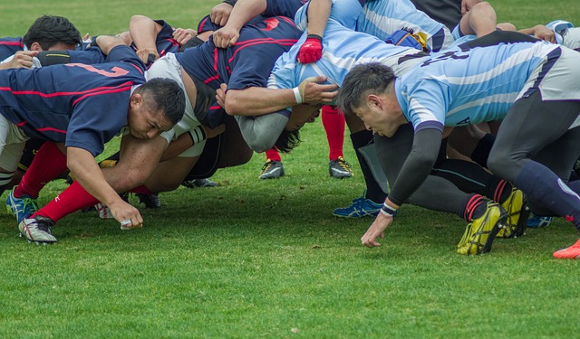 Six Nations 2025: What to Expect from Europe’s Premier Rugby Championship