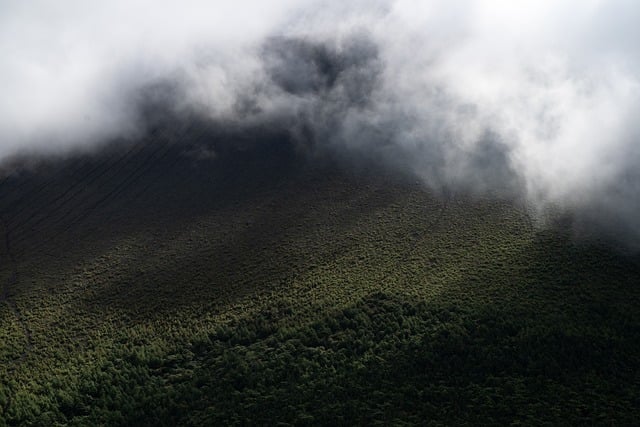 Fog Warning Issued Across the UK: Travel and Safety Updates