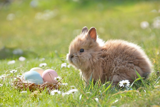 Easter 2025: Dates, Significance, and Celebrations