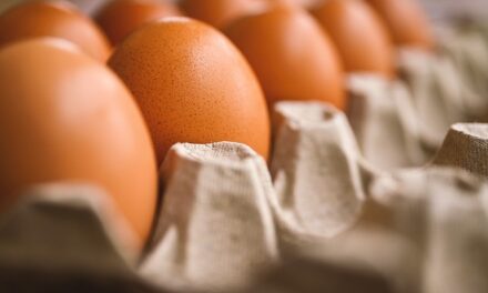 How Many Eggs Should You Eat if You Go to the Gym?
