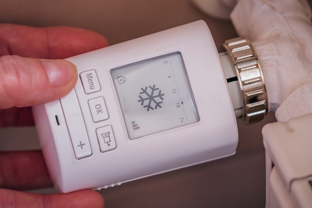 Energy Savers Week 2025: Practical Tips to Stay Warm and Save Money