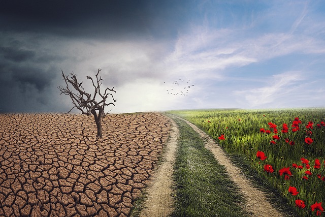 The UK Faces Unprecedented Challenges from Extreme Weather Events