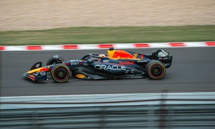 The Top-Earning Formula 1 Drivers of 2024