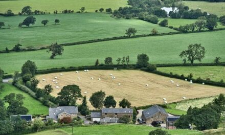 ITV’s – Out There: A Riveting Thriller Exploring Crime in Rural Britain
