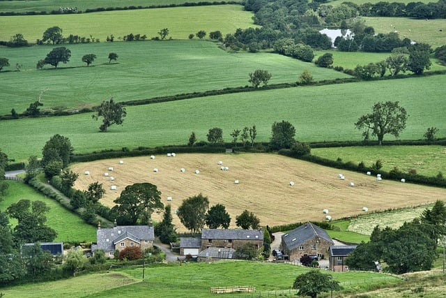 ITV’s – Out There: A Riveting Thriller Exploring Crime in Rural Britain