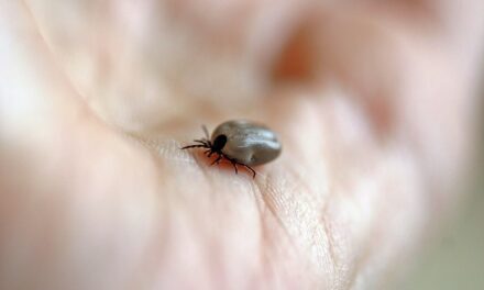 Meningitis Prevention and Awareness: Protecting Yourself and Your Community