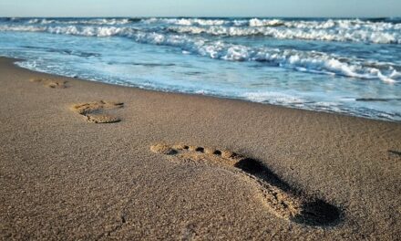 The Best EU Countries Offering Tourist Incentives in 2025