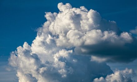 Understanding Eco-Anxiety: The Growing Psychological Impact of Climate Change
