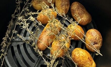 The Air Fryer Revolution: Current Trends and Essential Insights