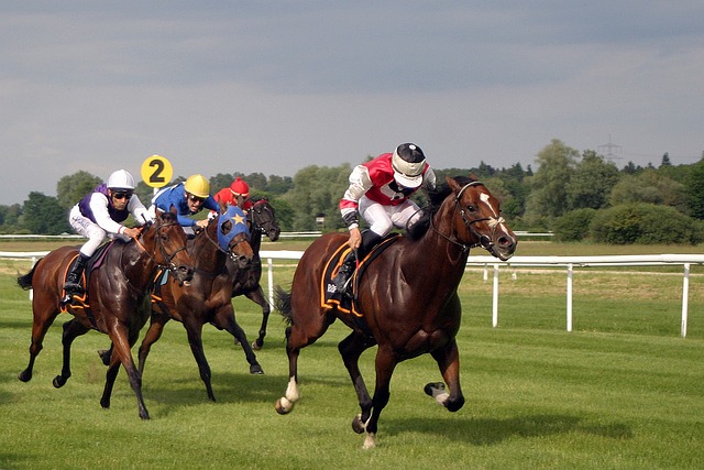 UK Horse Racing Preview – Friday, February 14, 2025