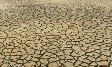 UK’s Climate Change Challenges and Progress: A 2025 Update