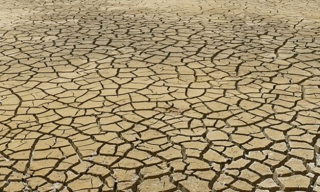 UK’s Climate Change Challenges and Progress: A 2025 Update