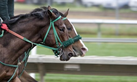 Ultimate UK Horse Racing Preview – Tuesday, February 18, 2025: Racecards, Betting Tips & Expert Analysis