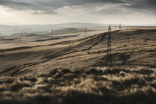 Little Eden Country Park: A Tranquil Retreat in Yorkshire