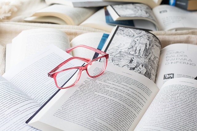 Latest Updates on the Student Loans Company (SLC) in 2025