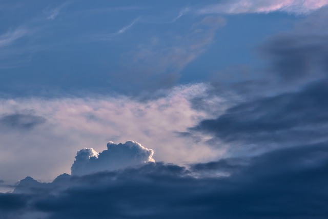 Diversity in Environmental Organizations: Addressing the Lack of Representation