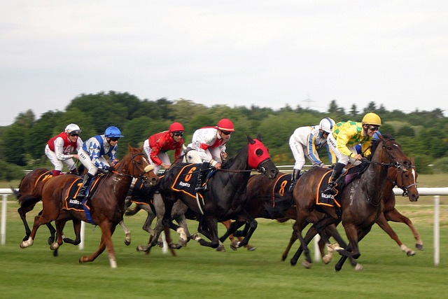 Ultimate UK Horse Racing Weekend Update: Highlights, Results, Betting Tips, and Expert Analysis