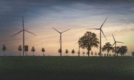 UK Energy Supplier Reveals: The energy-saving myths that are actually costing you more