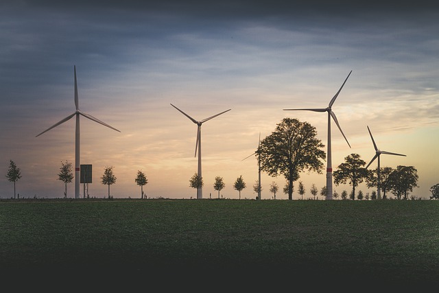 UK Energy Supplier Reveals: The energy-saving myths that are actually costing you more