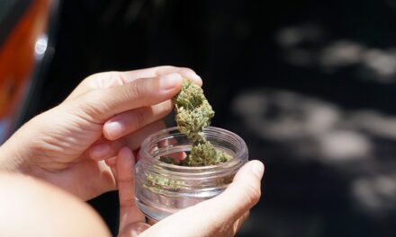 One in four in the North-East unaware of medical cannabis and its uses