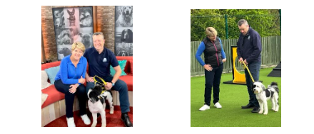 Lost Dogs, Found Dogs TV Series with Clare Balding & Oreo with Yellow Dog UK