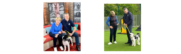 Lost Dogs, Found Dogs TV Series with Clare Balding & Oreo with Yellow Dog UK