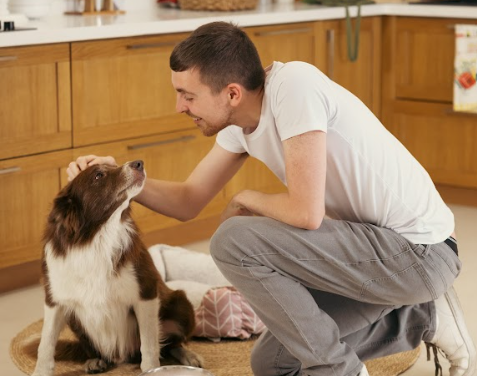 SNEAK ENERGY LAUNCHES AD FOR NATIONAL PET MONTH TO PROMOTE DOG ADOPTION