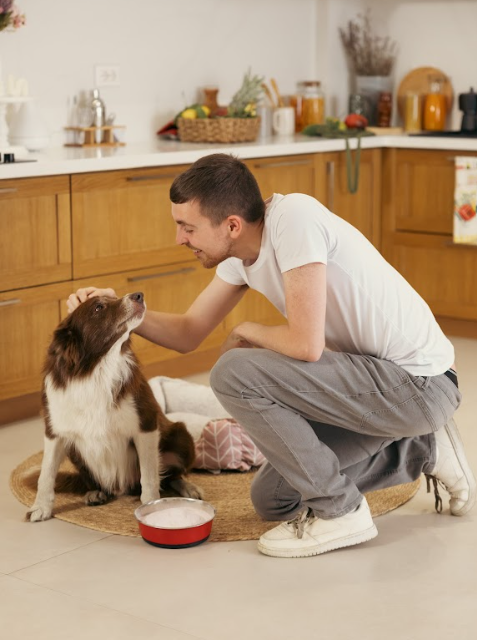 SNEAK ENERGY LAUNCHES AD FOR NATIONAL PET MONTH TO PROMOTE DOG ADOPTION
