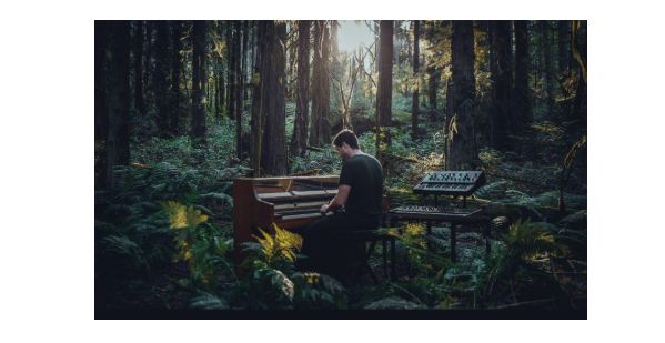 Omar Raafat: A Global Soundscape of Emotion and Innovation