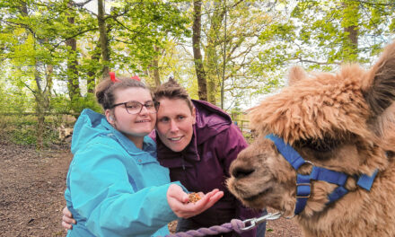 Merseyside charity offers the chance to sponsor and meet the animals on its 19-acre farm’