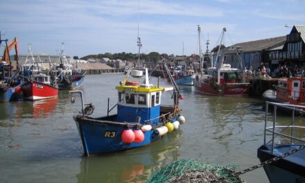 Rainham’s Hidden Gems: Underrated Neighbourhoods for Homebuyers
