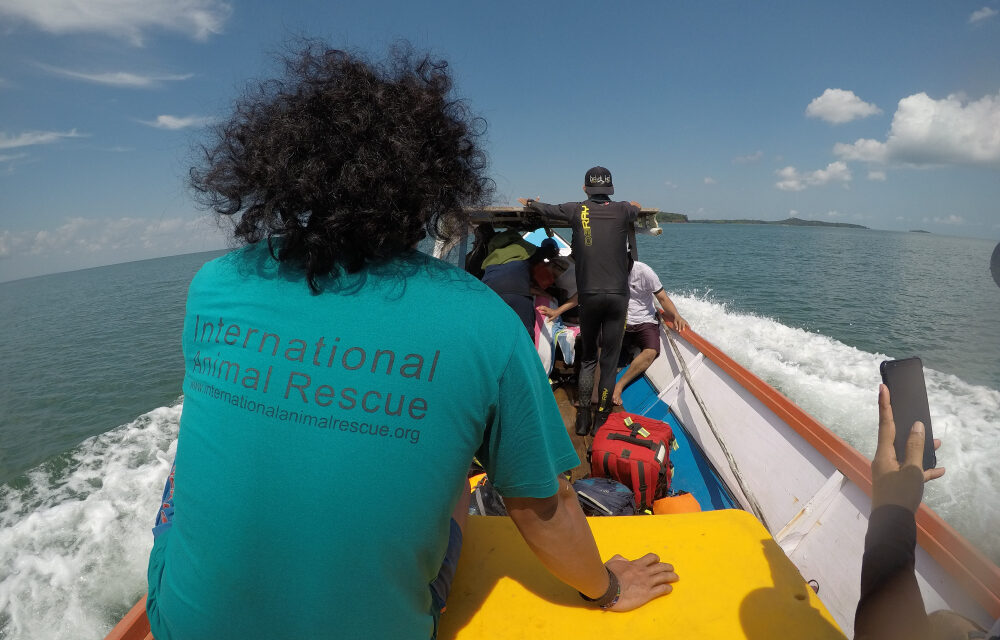 Answering Attenborough’s Call  – Cempedak’s New Ocean Learning Hub Sparks Hope for Dugongs and Coastal Communities
