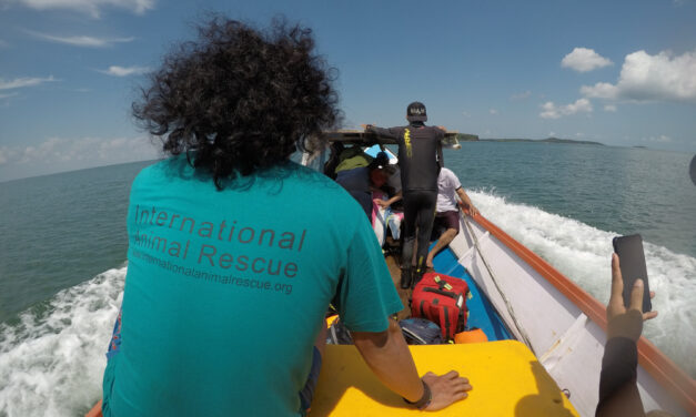 Answering Attenborough’s Call  – Cempedak’s New Ocean Learning Hub Sparks Hope for Dugongs and Coastal Communities