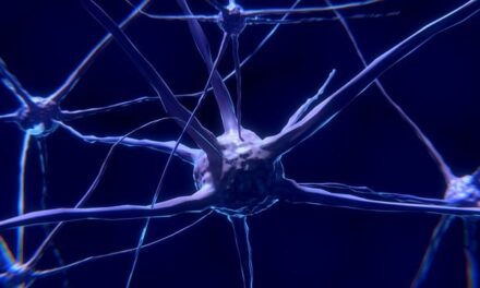 Make May Purple: Action on Stroke Month 2025