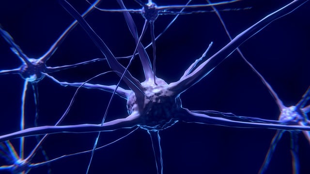 Make May Purple: Action on Stroke Month 2025