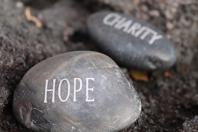 BAKKAVOR ANNOUNCES NEW CHARITY PARTNERSHIP WITH SAMARITANS TO UNDERSCORE ITS COMMITMENT TO WELLBEING