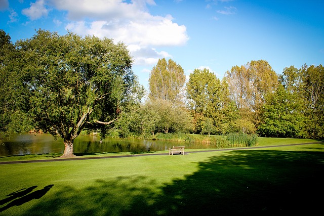 Surrey Named UK’s Number One Trump Hotspot